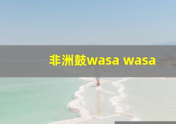 非洲鼓wasa wasa